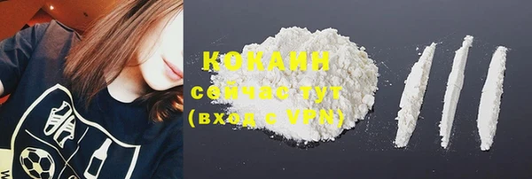 соль ск Верея