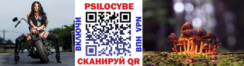 Псилоцибиновые грибы Magic Shrooms  Гусиноозёрск 